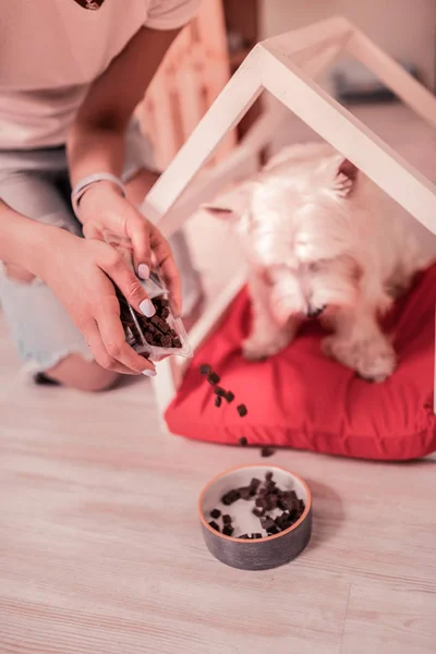 Caring owner putting some food into little bowl — Stock Photo, Image