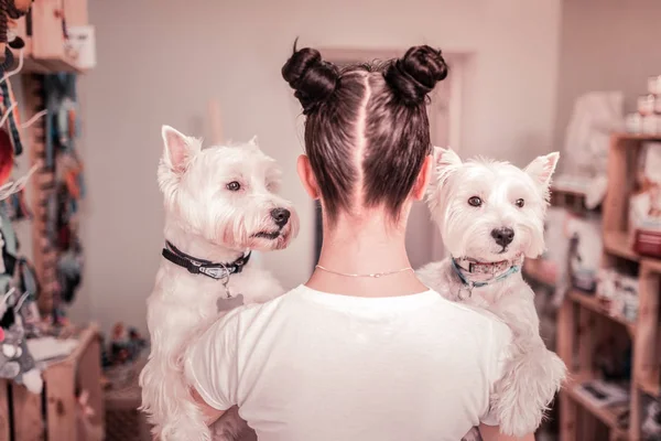 Mujer con dos bollos de pelo sosteniendo dos perros blancos —  Fotos de Stock