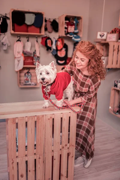 Donna che indossa abito quadrato guardando il suo animale domestico indossa vestiti rossi — Foto Stock