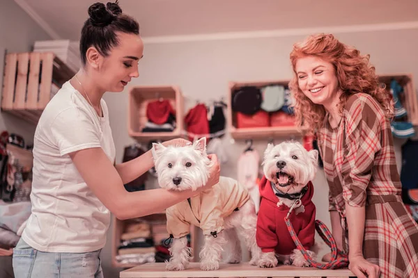 Помощник продавца помогает женщине выбирать одежду для собак — стоковое фото