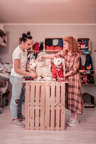 Mujer cariñosa mascotas venir a tienda de mascotas con sus perros —  Fotos de Stock