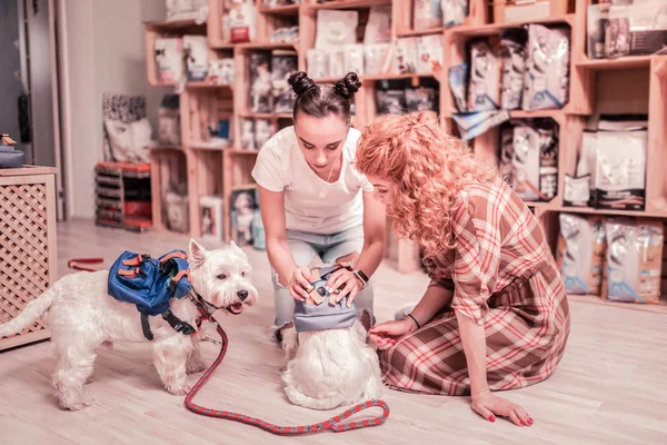 Dunkelhaarige Verkäuferin einer Zoohandlung zeigt spezielle Kleidung für Haustiere — Stockfoto