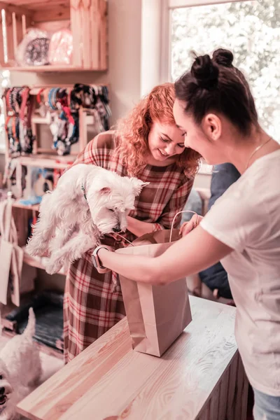 Mujer sosteniendo su perro esponjoso mientras compra en tienda de mascotas —  Fotos de Stock