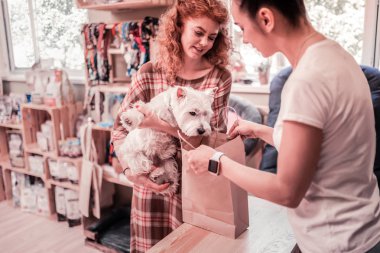 Sahibi ile evcil hayvan dükkanında alışveriş yaparken çanta içine bakan köpek