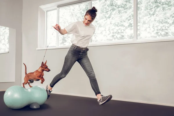 Süße braune Hündin springt, während ihr Herrchen ihn trainiert — Stockfoto