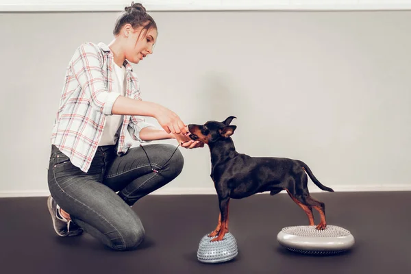 Frau im karierten Hemd kümmert sich um ihren Hund — Stockfoto