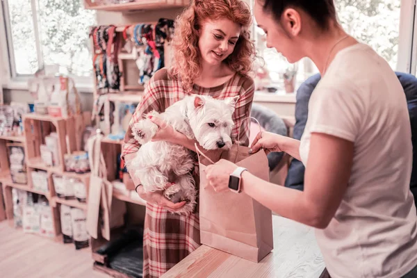 Cão olhando no saco enquanto faz compras na loja de animais com o proprietário — Fotografia de Stock