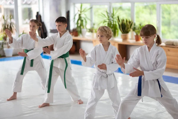 Garçons et filles répétant après entraîneur étudiant les mouvements d'aikido — Photo