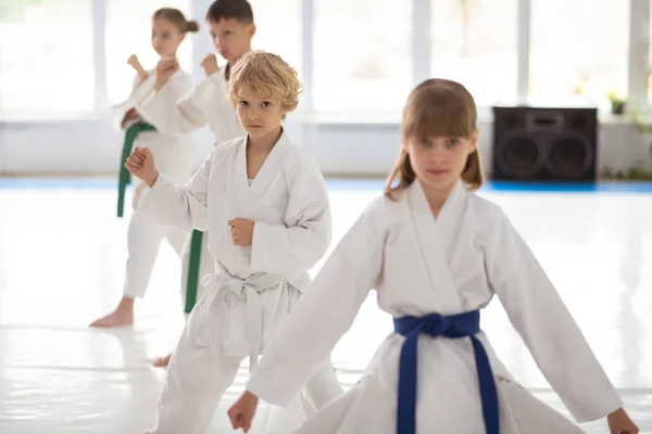 Children feeling involved in practicing martial arts — Stock Photo, Image