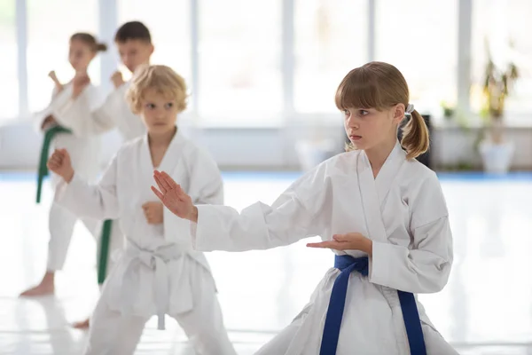 Girl having serious face while practicing aikido movements — Stock Photo, Image