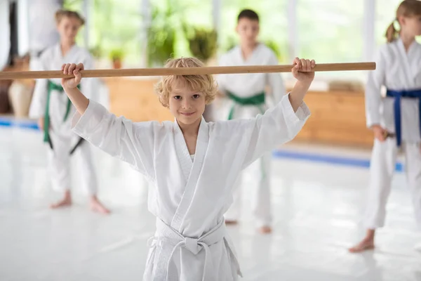 Cute dark-eyed boy feeling satisfied after practicing aikido