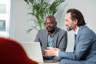 Proje için bilgi ararken dizüstü bilgisayar kullanan iş ortakları