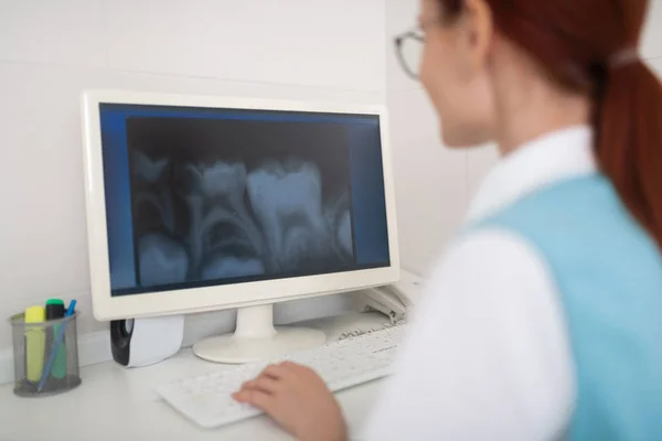 Zavřít zubař sedět poblíž počítače a studovat rentgen — Stock fotografie