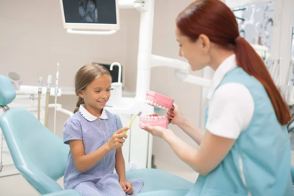 Девушка держит зубную щетку и чистит зубы на модели зубов — стоковое фото