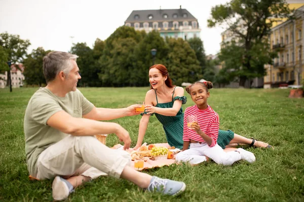 Family eating fruits and drinking juice while having picnic