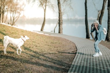 Yaşlı kadın fotoğrafçı parkta köpek fotoğrafını çekiyor