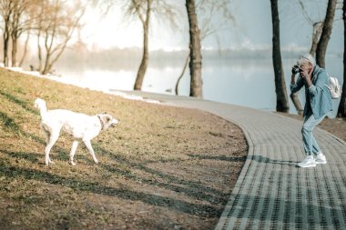 Yaşlı kadın köpek açık bir fotoğraf çekim
