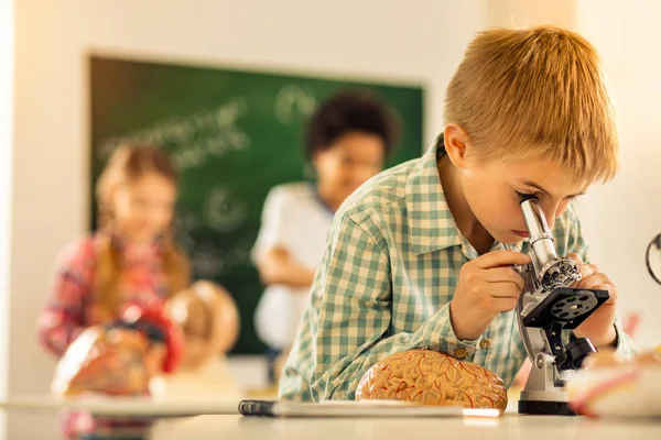 Attentive future scientist doing new biological research — Stock Photo, Image