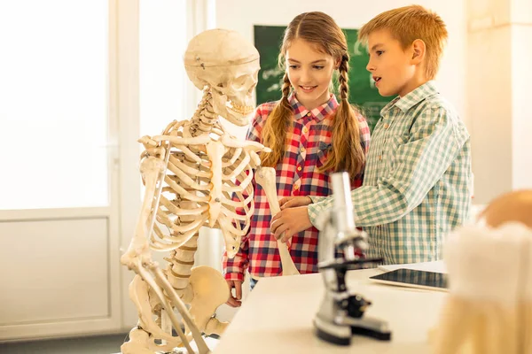 Følelsesmæssig blondine dreng rører kunstige knogler af skelet - Stock-foto