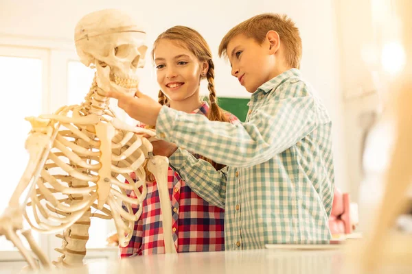 Positivo encantado niños examinando esqueleto en el aula — Foto de Stock