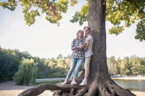 Paar steht neben riesigem Baum und schaut in Wald — Stockfoto