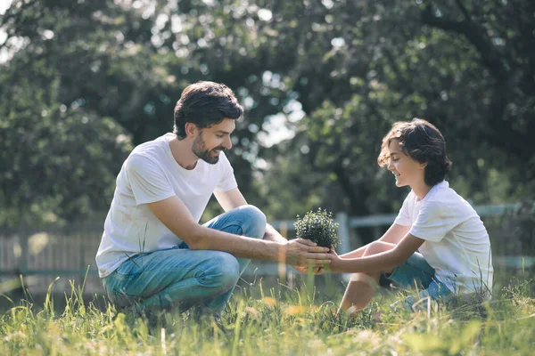 Niño moreno y su padre sosteniendo la planta y sintiéndose bien — Foto de Stock