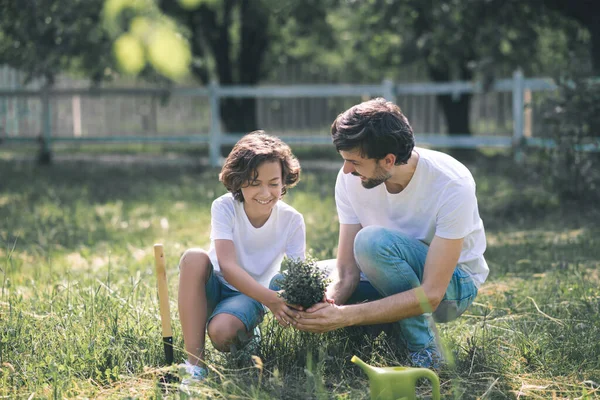 Σκούρα μαλλιά αγόρι και ο μπαμπάς του κρατώντας το φυτό και μιλώντας — Φωτογραφία Αρχείου