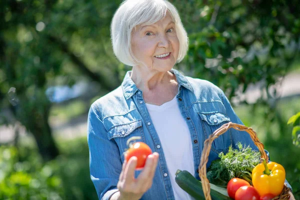 Senior vrouw met een rode rijpe tomaat — Stockfoto