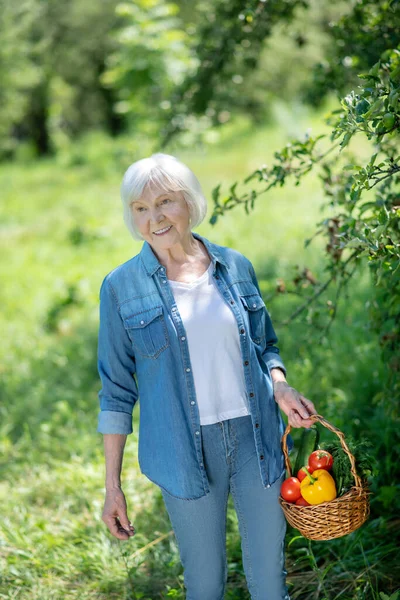 Femme ramassant des légumes du potager — Photo