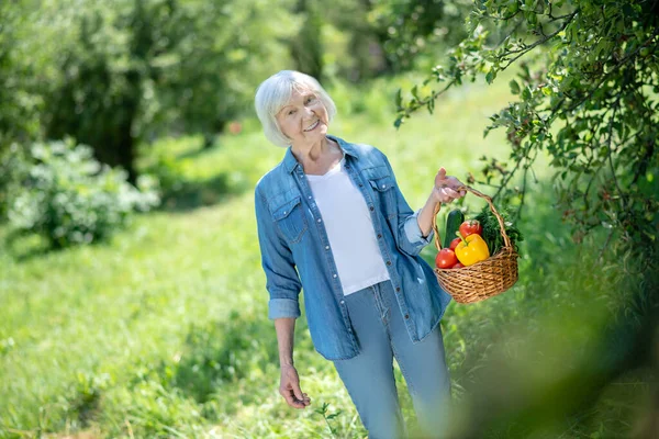 Actieve gepensioneerde die groenten verbouwt in haar moestuin — Stockfoto