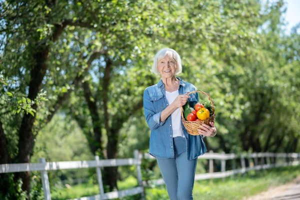 Веселая пожилая женщина собирает урожай овощей — стоковое фото
