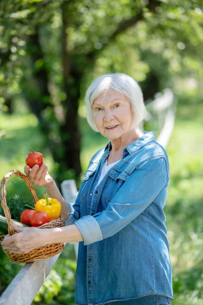 Oudere vrouw met een mand met tomaten — Stockfoto