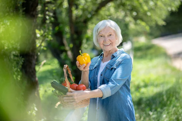 Vreugdevolle oudere vrouw met een gele paprika — Stockfoto