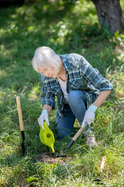 Mulher sênior atentamente cuidando de sua horta — Fotografia de Stock