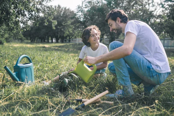 Ragazzo dai capelli scuri e suo padre annaffiano le piante in giardino — Foto Stock