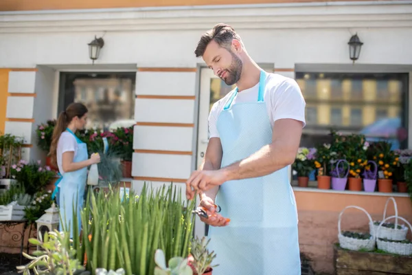 Baard mannelijke snijden bladeren en bruin-harige vrouwelijke spaying planten buiten bloemenwinkel — Stockfoto
