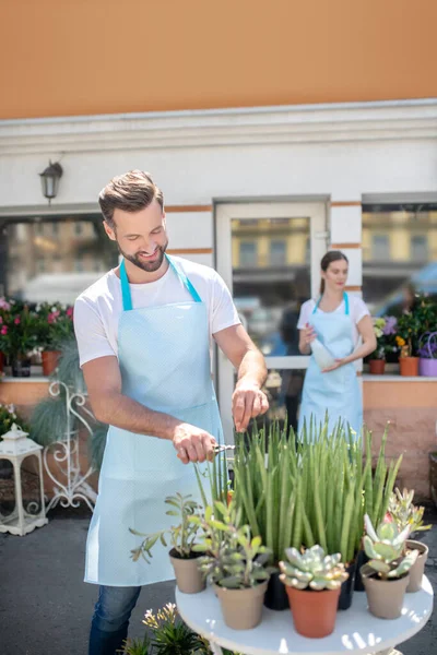 Baard mannelijke snijden bladeren en bruin-harige vrouw staande met water spray buiten bloemenwinkel — Stockfoto