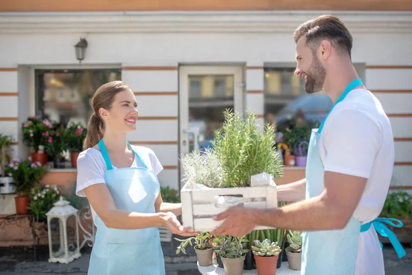 Bärtige Männchen und braunhaarige Weibchen halten Kiste mit Pflanzen vor Blumenladen — Stockfoto