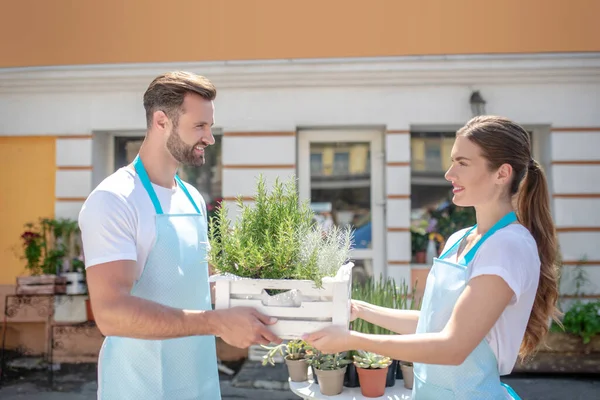 Souriant barbu mâle et jeune femme aux cheveux bruns tenant boîte avec des plantes à l'extérieur de la boutique de fleurs — Photo