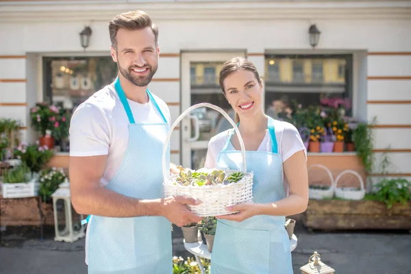 Sakallı genç erkek ve kahverengi saçlı kadın çiçek dükkanının önünde bitkilerle dolu sepeti tutuyor. — Stok fotoğraf