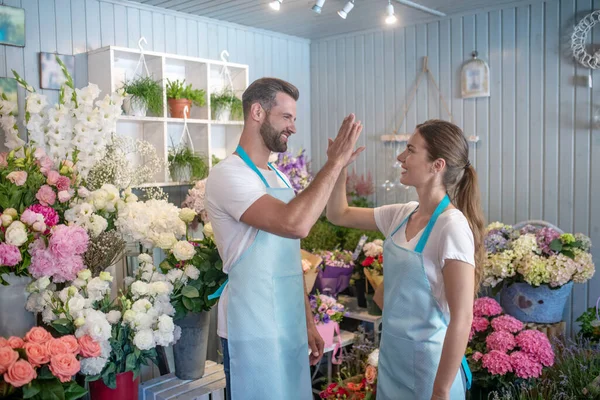 Bearded male and brown-haired female standing intside flower shop giving high five — Stock Photo, Image