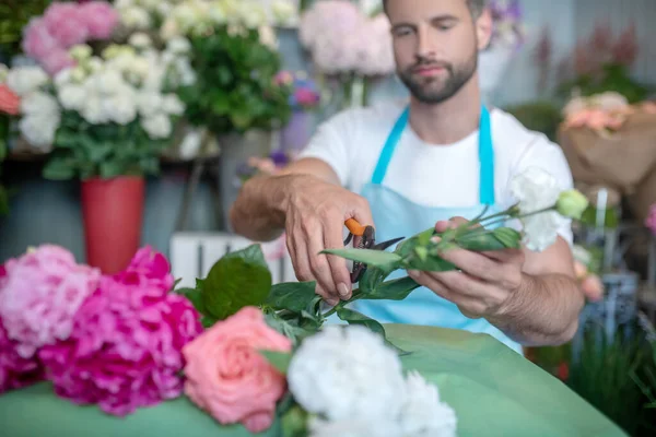 Bärtiger Blumenhändler schneidet Blumen in Blumenladen — Stockfoto