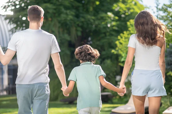 Bakåt bild av familjen av tre hålla händer, promenader i parken — Stockfoto