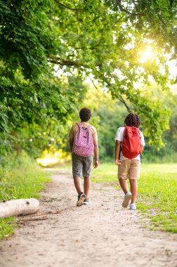 In the park. Two teens having a walk in the park after school