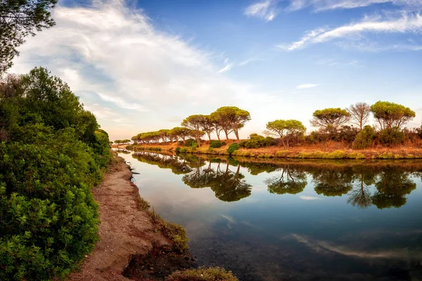 Vackra Landskap Damm Med Reflektion Träden Och Himlen Vattnet Petrosu — Stockfoto