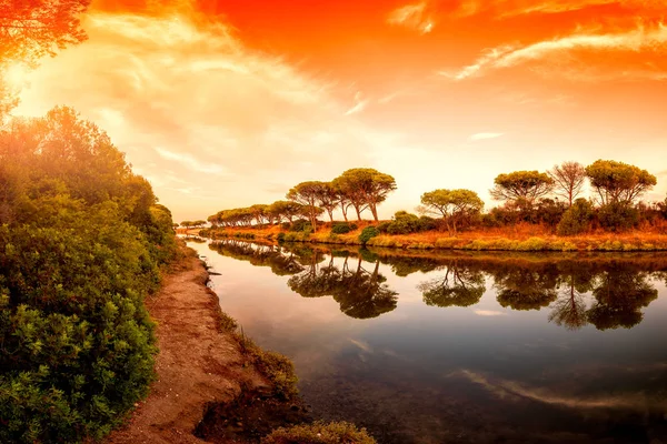 Vackert Landskap Vid Solnedgången Damm Med Reflektion Träd Och Himlen — Stockfoto