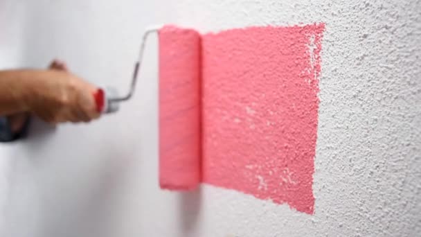 Λευκός Εργαζόμενος Ζωγράφος Σπίτι Ρολό Ζωγραφίζει Τον Τοίχο Ροζ Χρώμα — Αρχείο Βίντεο