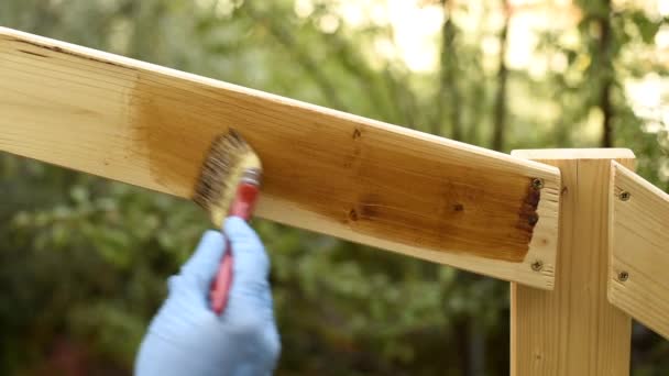 Carpinteiro Artesão Adulto Com Pincel Pintando Tábuas Uma Cerca Madeira — Vídeo de Stock