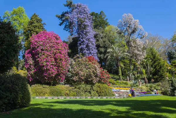 Villa Carlotta garden, Lake Como, Italy.