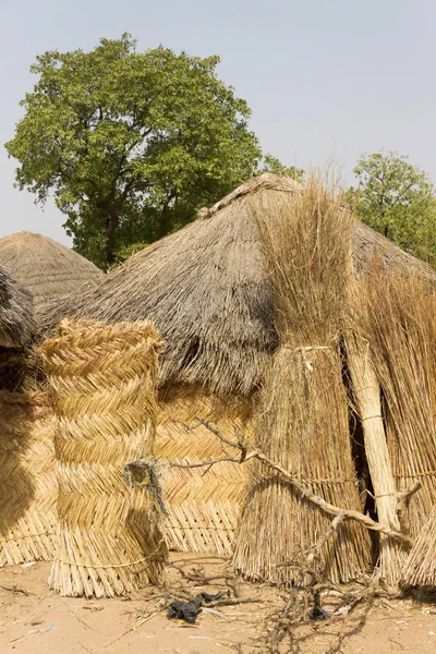 Typická Africká Vesnice Ghaně — Stock fotografie